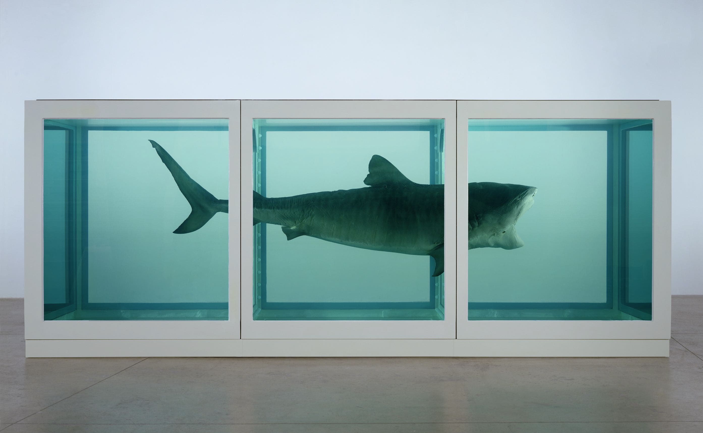 Damien Hirst - The Physical Impossibility of Death